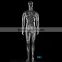 Transparent mannequin for full body male dummy