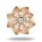 Glass Tomato Pink Knob
