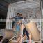 PE Roll Foam Insulation