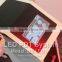 Acne treatment Double handles LED Phototherapy equipment for beauty salon