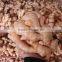 China air dry ginger professional supplier for Holland and Russia