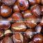 Ready to eat health Chestnuts snack food