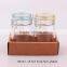 2pcs glass spice jar set in a paper tray