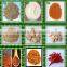 2014 NEW CROP HIGH QUALITY DRY CRUSHED CHILLI WITH SEEDS