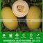 SM05 Jinrui small size hybrid hami melon seeds, high sugar content