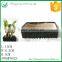 Pyramid Lucky Bamboo Ceramic Flower Pot
