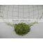 5 Feet x 10 Feet Gardening Plant Support Vine and Veggie Trellis