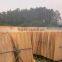 Rotary cut Eucalyptus veneer 100%A grade export to Philippines market