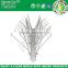 bird traps stainless steel bird spikes with plastic base metal garden spike made in china