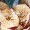 No damage apple chips dryer/apple slices drying oven with low temperature