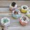 Hot Sale Rainbow Hexagon Flower Pot Ceramic for Planter