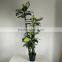 fake decorative dieffenbachia rohdea artificial evergreen wholesale