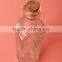 cheap liquid use mini glass cork bottle