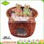 China custom nice quality beautiful antique pet house wicker dog bed indoor cat house for sale