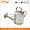 Cheap Garden Galvanized Metal Watering Can