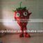 NO.2430 strawberry mascot costumes