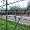 Barbed Wire0
