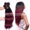 Factory Wholesale Unprocessed Ombre Hair Extension Bundles #1b/99j Color Malaysian Human Hair, red wine colored Malaysian hair