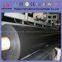 Geomembrane