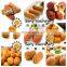 SY-800 admirable automatic arancin falafel pani puri making machine