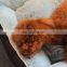 Durable Pet Bed Machine Washable Medium Dog Bed Comfortable Plush Puppy Pet sofa