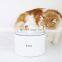 Manufacturer wholesale automatic battery filter drinking LED round cat water fountain