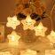 Led twinkle light