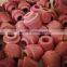 Bottom price most popular alumina ceramic cover plate
