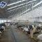 Prefabricated Steel Structure Fabricated Poultry Chicken Cow Farm Building