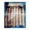 Good quality IQF frozen squid whole round roll