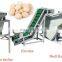 Macadamia Nut Cracker Shelling Peeling Machine
