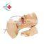 HC-S118 Advanced suction training model of intubation postoperative care for sale