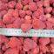 new season pure nature organic freeze dried strawberry