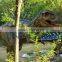 Animtronic life-size giant mechanical dinosaur for jurassic parks