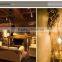 E27 2W 4W 6W 8W LED Chips LED Bulb Light Lamps Glass Globe Lamp Edison Led Filament Bulb Warm White 110V 240V Lampada Led