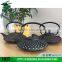 oem brand new popular Japanesec cast iron teapot