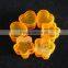 3ml 5ml 7ml 10ml small PS jar