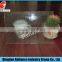 4-12mm decorative tinted coated glass/mirror glass/decorative mirror glass