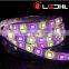 Shenzhen factory RGB+WW / RGB+W / RGB+NW DC12V/DC24V SMD5050 Flexible RGBW led strip 2 years warranty