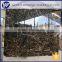 gold coral marble business building black floor tiles,stair slate