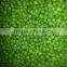 iqf Frozen green peas