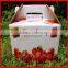 High-- Capacity Large Custom Fancy CMYK Strawberry Printing Fruit Packaging Storage Box