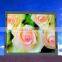HOT PRODUCTS China professional p6.67 outdoor full color LED display