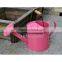 Promotional types metal flower watering pot or watering can