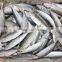 Frozen IQF 8-10pcs/kg Horse mackerel for sale