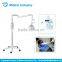 Professional Blue Light Dental Teeth Whitening Price, Mobile Teeth Whitening Machine