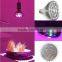 XQD cob led grow light bulb led par hydroponic full spectrum
