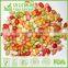 Colorful Sunflower Seed Kernels Snacks