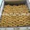 Fresh potato price per ton