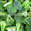 IQF broccoli /frozen broccoli